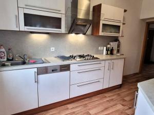 Pronájem bytu 2+1, Opava, Na Rybníčku, 65 m2