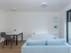 Pronájem bytu 1+kk, Praha - Štěrboholy, K učilišti, 39 m2