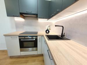 Pronájem bytu 1+kk, Beroun, U Židovského hřbitova, 30 m2