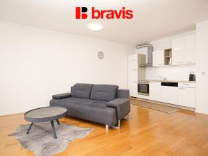 Pronájem bytu 1+kk, Brno - Trnitá, Mlýnská, 63 m2