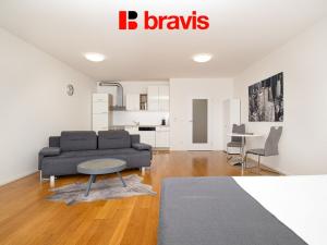 Pronájem bytu 1+kk, Brno - Trnitá, Mlýnská, 63 m2