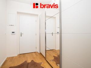 Pronájem bytu 1+kk, Brno - Trnitá, Mlýnská, 63 m2