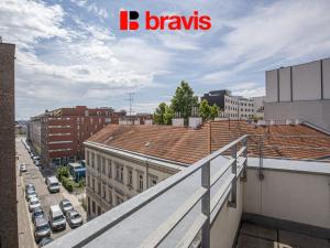 Pronájem bytu 1+kk, Brno - Trnitá, Mlýnská, 63 m2