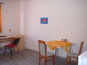 Pronájem bytu 1+kk, Písek, Nádražní, 30 m2