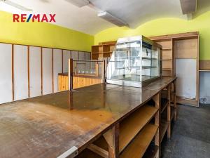 Prodej rodinného domu, Cvikov, Československé armády, 500 m2
