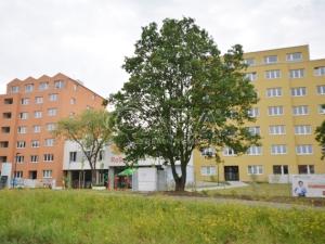 Pronájem obchodního prostoru, Praha - Kobylisy, Střelničná, 84 m2
