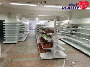 Pronájem obchodního prostoru, Dolní Benešov, Osada míru, 313 m2