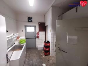 Pronájem obchodního prostoru, Dolní Benešov, Osada míru, 313 m2