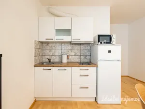 Pronájem bytu 2+kk, Praha - Žižkov, Olšanská, 69 m2
