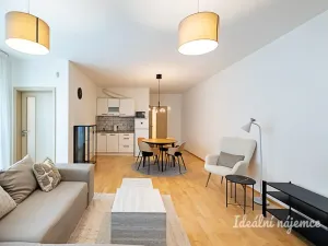 Pronájem bytu 2+kk, Praha - Žižkov, Olšanská, 69 m2