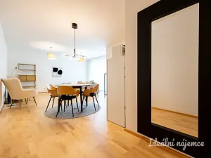 Pronájem bytu 2+kk, Praha - Žižkov, Olšanská, 69 m2