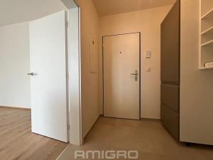Pronájem bytu 1+kk, Brno, Křenová, 27 m2