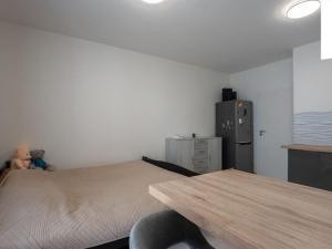 Prodej bytu 1+kk, Brno, Vančurova, 30 m2