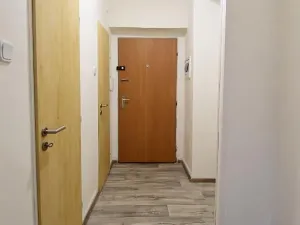 Pronájem bytu 2+1, Chomutov, Haškova, 50 m2