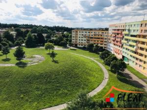 Pronájem bytu 1+1, Ostrava, Horní, 41 m2