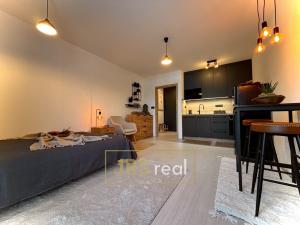 Pronájem bytu 1+kk, Zlín - Malenovice, Pod Hradem I, 27 m2