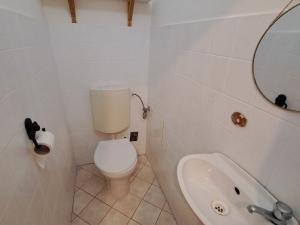 Pronájem bytu 2+kk, Olomouc, Hodolanská, 49 m2