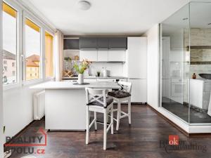 Prodej bytu 1+1, České Budějovice - České Budějovice 3, Nerudova, 38 m2