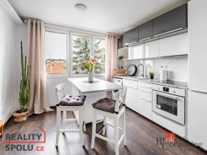 Prodej bytu 1+1, České Budějovice - České Budějovice 3, Nerudova, 38 m2