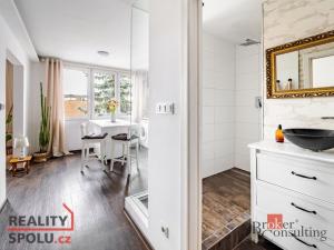 Prodej bytu 1+1, České Budějovice - České Budějovice 3, Nerudova, 38 m2