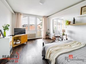 Prodej bytu 1+1, České Budějovice - České Budějovice 3, Nerudova, 38 m2