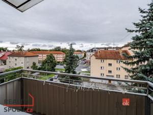 Prodej bytu 1+1, České Budějovice - České Budějovice 3, Nerudova, 38 m2