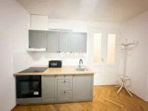 Pronájem bytu 2+kk, Brno, Jakubské náměstí, 51 m2