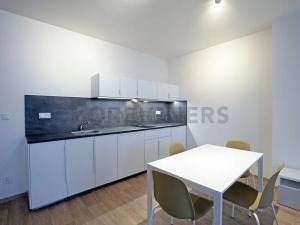 Pronájem bytu 1+kk, Brno, Kobližná, 46 m2