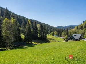 Prodej ubytování, Malá Úpa - Dolní Malá Úpa, 528 m2