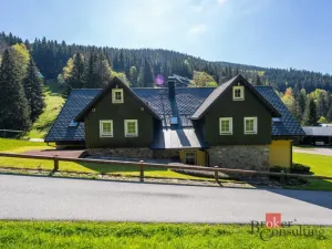 Prodej ubytování, Malá Úpa - Dolní Malá Úpa, 528 m2