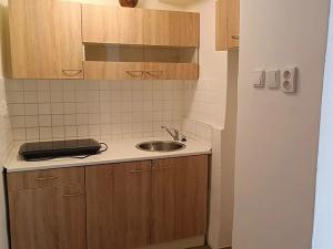 Pronájem bytu 1+kk, Praha - Břevnov, Nad Závěrkou, 21 m2