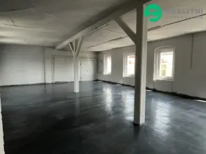 Pronájem skladu, Aš, Okružní, 3800 m2