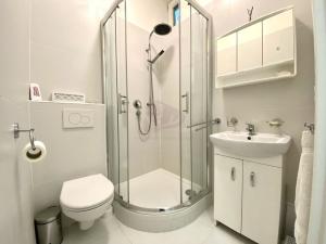 Pronájem bytu 1+1, Praha - Modřany, Dolnocholupická, 50 m2