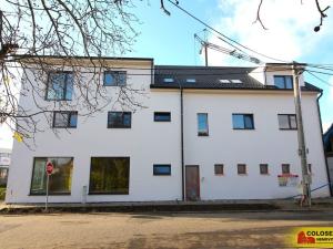 Prodej bytu 3+kk, Hrušovany nad Jevišovkou, 77 m2