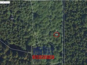 Prodej lesa, Košťálov - Kundratice, 3399 m2