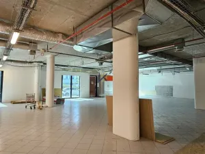 Pronájem obchodního prostoru, Praha - Ruzyně, Aviatická, 770 m2