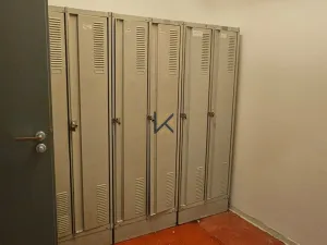 Pronájem obchodního prostoru, Praha - Ruzyně, Aviatická, 619 m2