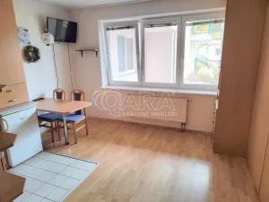 Pronájem bytu 1+kk, Praha - Horní Měcholupy, Padovská, 27 m2
