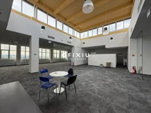 Pronájem kanceláře, Brno, Purkyňova, 420 m2