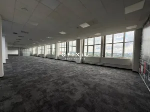 Pronájem kanceláře, Brno, Purkyňova, 500 m2