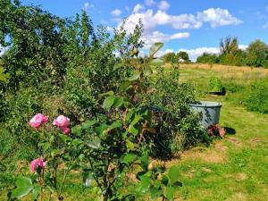 Prodej rodinného domu, Samšina - Drštěkryje, 121 m2