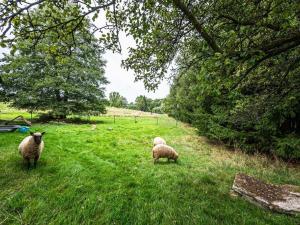 Prodej rodinného domu, Samšina - Drštěkryje, 121 m2