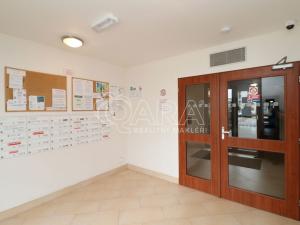 Pronájem bytu 2+kk, Praha, Sazovická, 48 m2