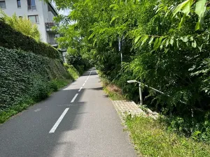Prodej bytu 2+kk, Praha - Vysočany, Jana Přibíka, 58 m2