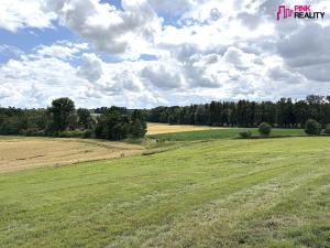 Prodej louky, Rychnov nad Kněžnou, 16663 m2