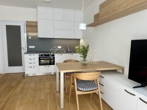 Pronájem bytu 1+kk, Praha - Holešovice, U průhonu, 32 m2
