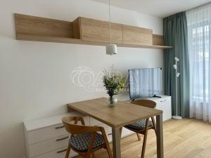 Pronájem bytu 1+kk, Praha - Holešovice, U průhonu, 32 m2