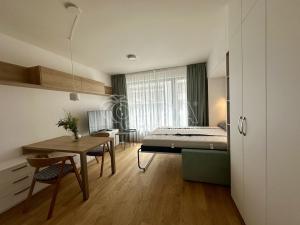 Pronájem bytu 1+kk, Praha - Holešovice, U průhonu, 32 m2