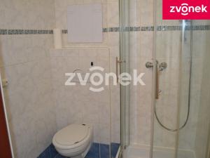 Pronájem bytu 1+1, Vsetín, 35 m2