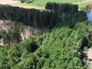 Prodej lesa, Opařany - Olší, 5323 m2